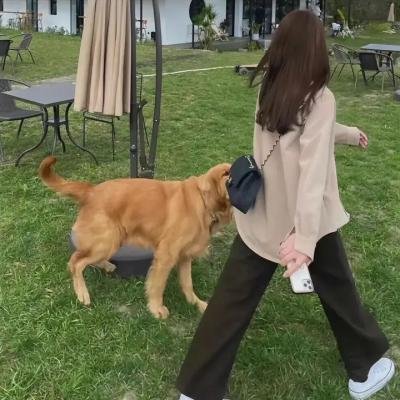 胜者为王3